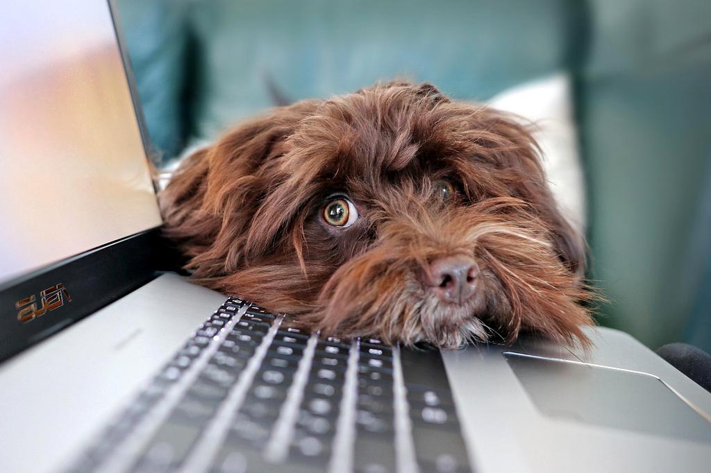 BRANDNAME team members posing in office